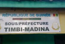Crime à Timbi Madina : confondu à l’amant de sa femme, un homme tué par son voisin forgeron
