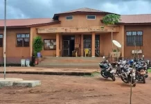 Mandiana : la directrice préfectorale de l’Agriculture suspendue pour insubordination