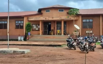 Mandiana : la directrice préfectorale de l’Agriculture suspendue pour insubordination