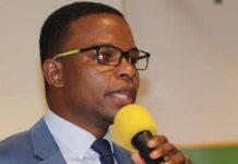 Militant ou figurant ? Tanou Diallo expose le faux-semblant démocratique de l’UFDG-France(Lettre ouverte)