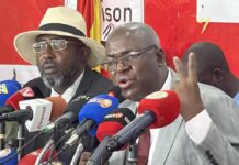 «Si nous attendons Dr Dansa Kourouma pour une constitution, nous ne l’aurons jamais», Dr Faya Millimono