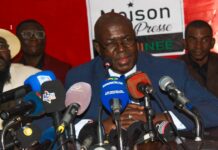 Projet Simandou 2040 : Dr Faya Millimono démonte un « gros mensonge »