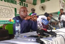 Déguerpissement d’étrangers en Guinée : « Les méthodes employées pour les renvoyer chez eux sont injustes et méprisantes», Kalémodou Yansané