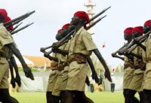 Polémique au Sénégal : Cheikh Oumar Diagne provoque un tollé en qualifiant les tirailleurs coloniaux de « traîtres »