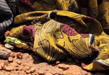 Kindia: découverte tragique d’un corps d’une femme sur la nationale N⁰1 à Mambia