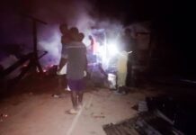 Gueckédou : Un incendie ravage le principal dépôt de bois de la ville