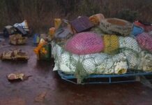 Guéckédou : plusieurs blessés dans un accident de la circulation entre Badala et Guéckédou