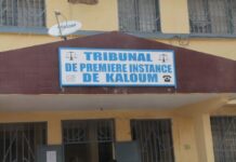 TPI de Kaloum : 3 ans de prison requis contre Ahmed Kanté, le verdict attendu le 19 mai