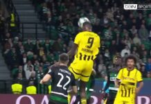 Ligue des Champions : Serhou Guirassy s’offre le trône des buteurs !