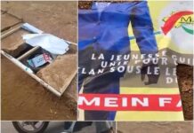 Affichage des effigies du Président Mamadi Doumbouya : Une stratégie contre-productive ?(Ismaël Condé)