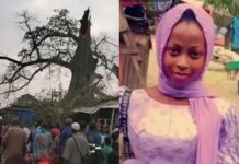Kissidougou : une élève du lycée Ibrahima Bah périt dans l’effondrement d’un arbre au marché central