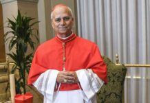 Données de santé en Afrique : le pape Léon XIV dénonce un « colonialisme sous une autre forme », la Guinée parmi les pays concernés