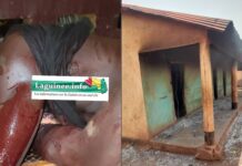 Drame à Kintinian : un jeune poignardé à mort dans un bar par son ami, la localité sous haute tension