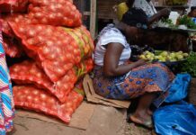 Conakry : l’oignon se vend à prix d’or, les ménages s’étouffent