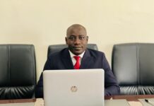 La gestion et le contrôle financier des sociétés publiques en Guinée