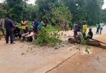 Kindia : des habitants de Koliady 2 bloquent la route de Télimélé pour contester le nouveau président de district