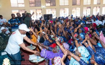 Vulgarisation du projet de nouvelle Constitution : Ousmane Gaoual Diallo en première ligne
