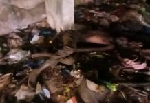 Découverte macabre à Kindia : un corps en décomposition repêché dans le quartier Abattoir 1