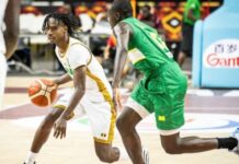 Afrobasket 2025 : la Guinée éliminée par le Mali (67-70)
