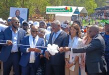 Conakry : cinq ponts modernes redessinent la mobilité urbaine et ouvrent de nouvelles perspectives