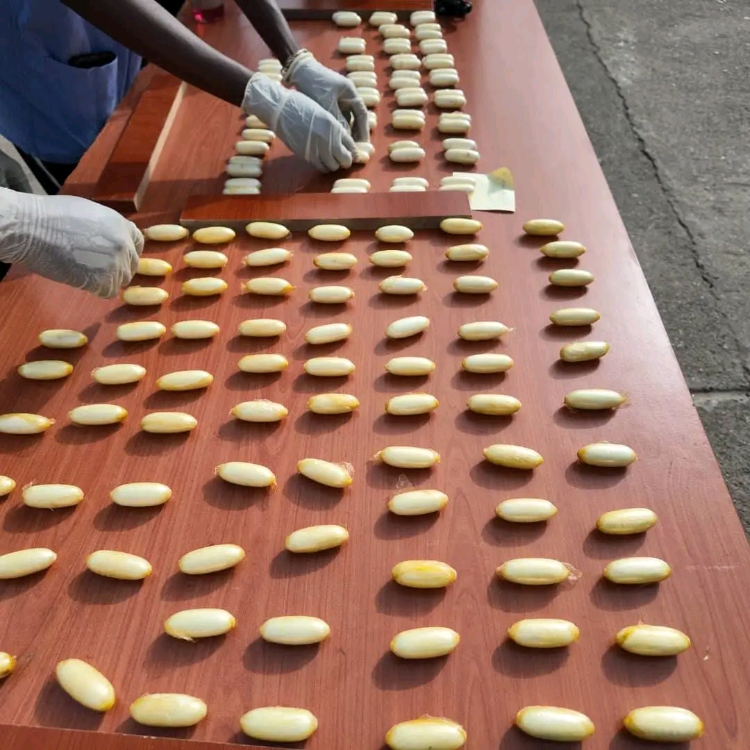 Cocaïne saisie -mai 2026 à Conakry