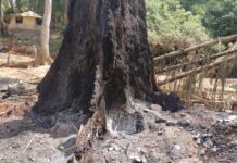 Kindia : un incendie ravage une partie du site touristique du Voile de la Mariée