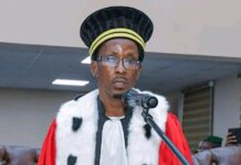Résultats électoraux non officiels sur les réseaux sociaux : le Parquet général de Conakry menace de poursuites pénales