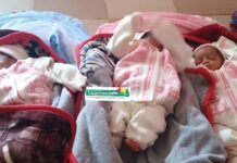 N’Zérékoré : naissance de triplés, entre bonheur immense et détresse financière