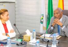 Guinée : le gouvernement et la mission du FMI font le point sur les réformes économiques